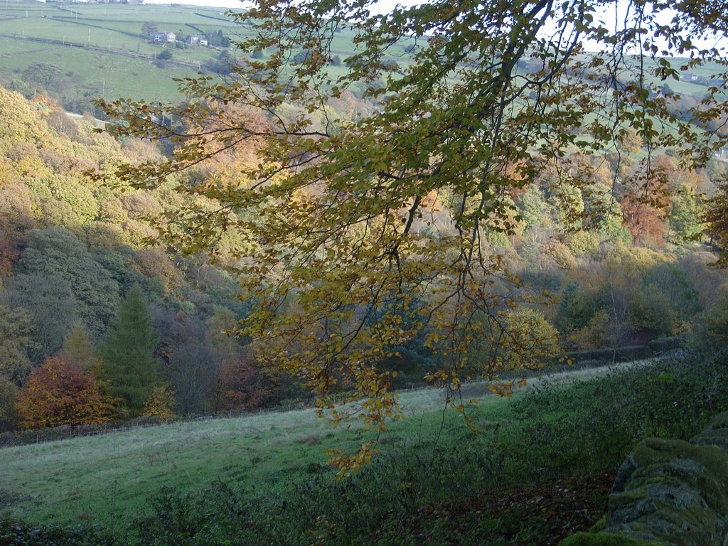 Near Jerusalem Farm by Gillian Holt