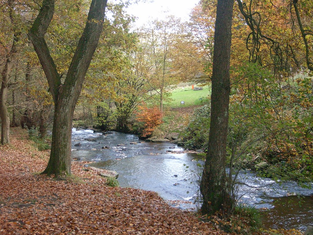 Near Jerusalem Farm, Luddenden Dean by Gillian Holt