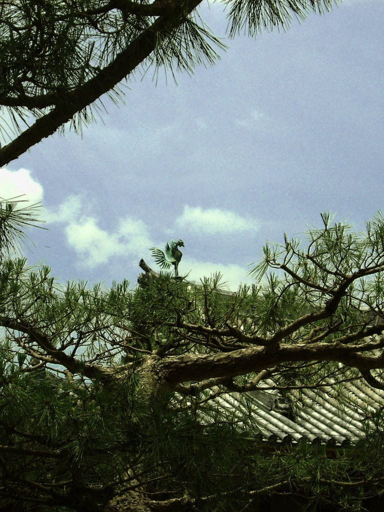 Pines and phoenix on roof of Uji Byodoin by Todd Stradford