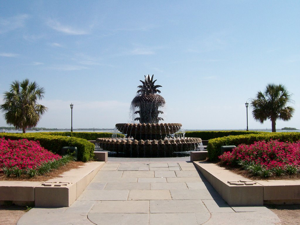 Pineapple Fountain by Stefanie