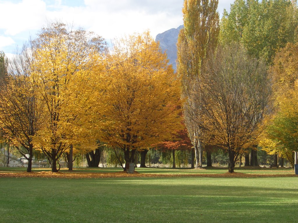 Fall, Switzerland by V.B.