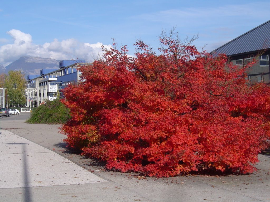 Echirolles, couleurs d'automne by nicolethiemonge