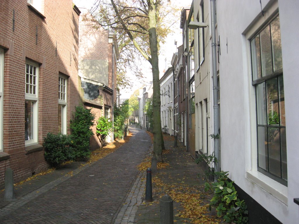 Haarlem, Witte Heerenstraat by R.Jutte-vander Krogt