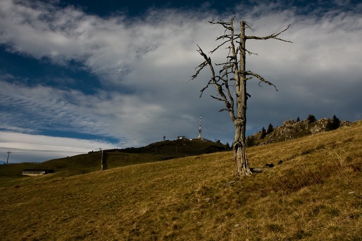 Sicht zum Kitzbuehler Horn by Andreas Kraus