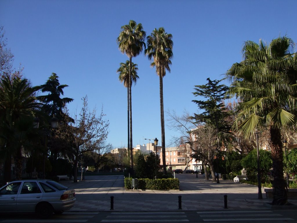 Parque Salvador Castell by juan-galiano