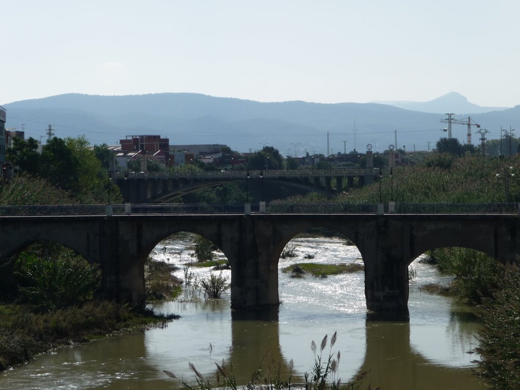 Pont Vell d'Oliva by Carles Tomàs