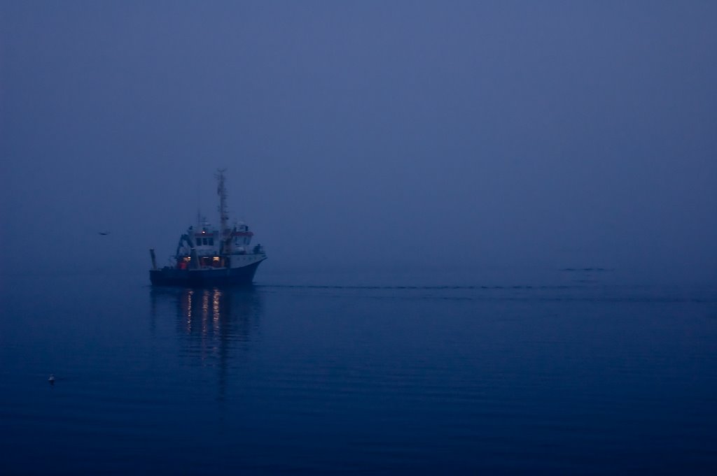 The Vessel Trygve Braarud in the Fog by foto-geir