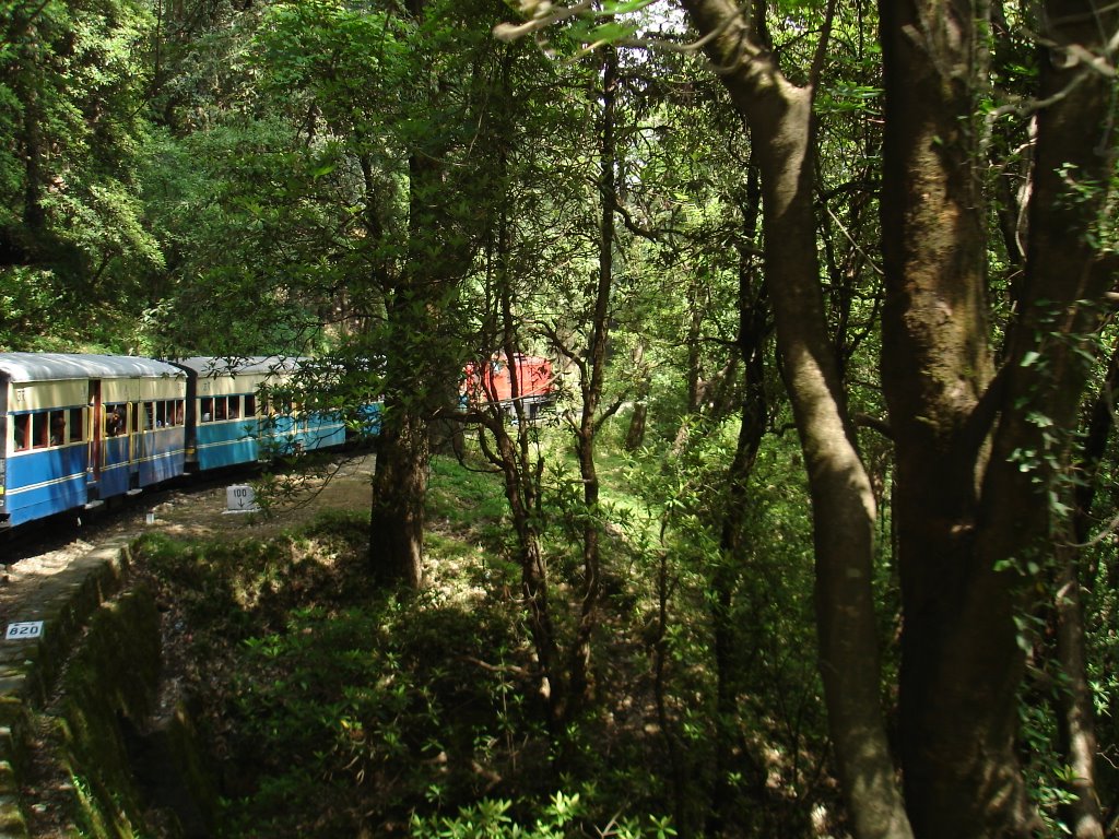 Shimla To Kalka by Ajay_Tomar