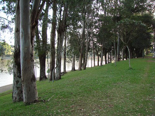 Margens do Lago Igapó - LONDRINA-PR - foto de: autor desconhecido by fotos de londrina