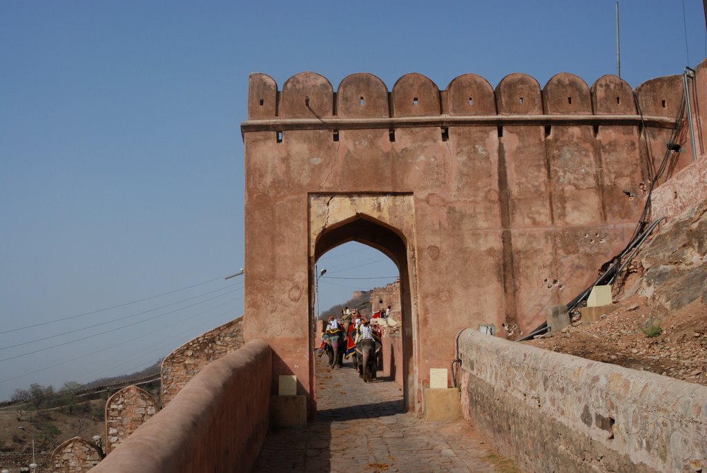 Amber fort by Ronald Flisijn