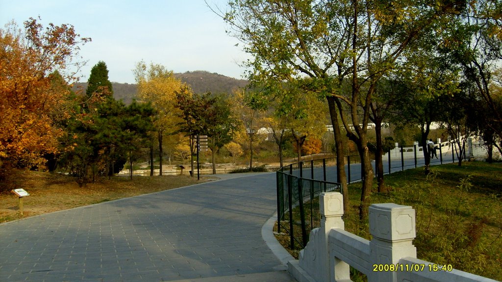 Beijing, China xiangshan botanical garden by ansory