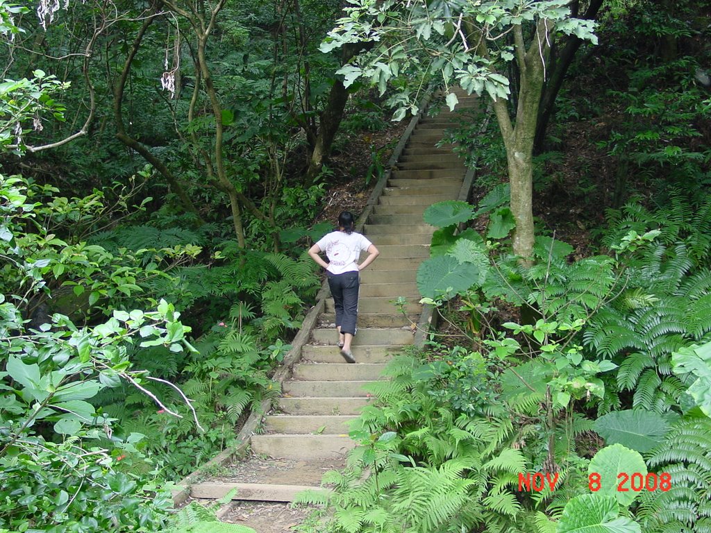 往福州山公園的登山木棧道 by A-Ron