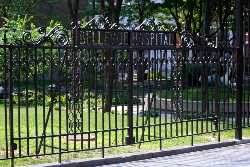 Bellevue Hospital Garden - First Avenue, NYC - July 2008 by LuciaM