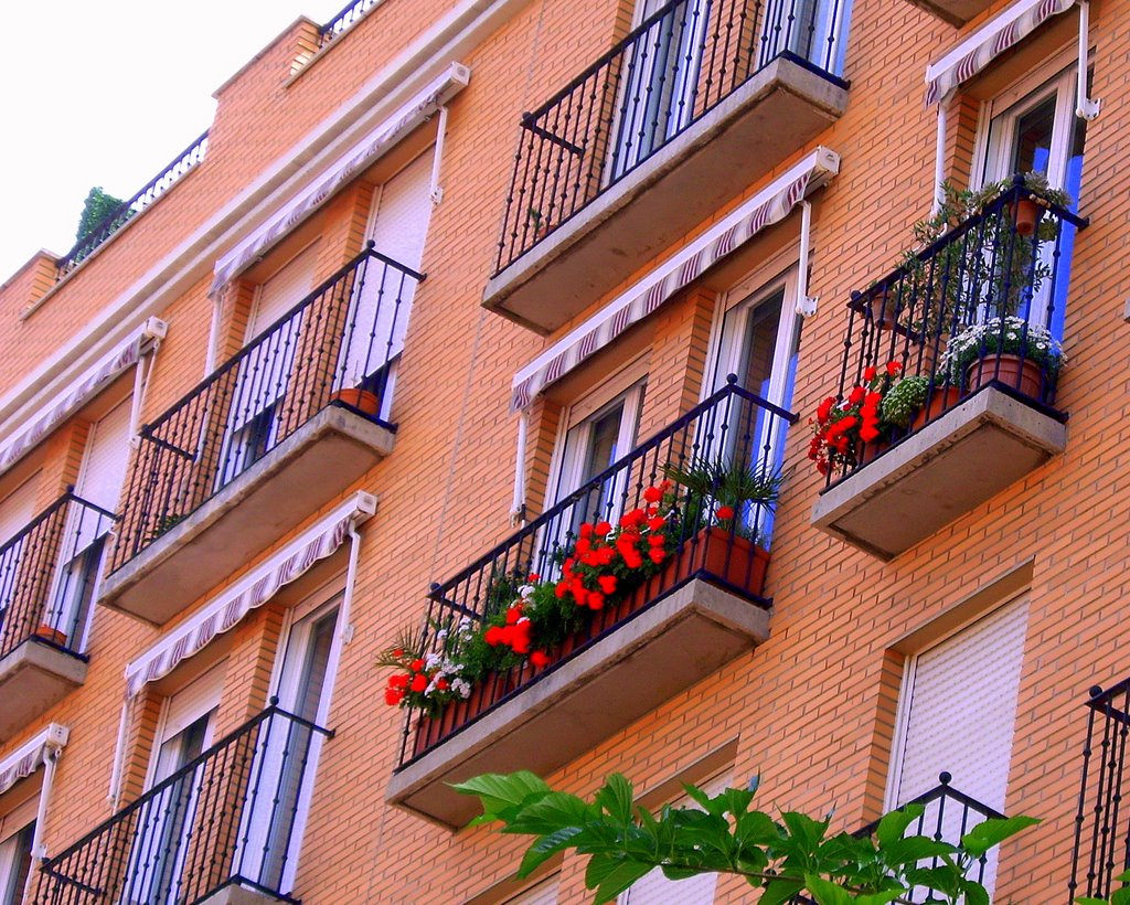 Balcon ajardinado by Neburzgz