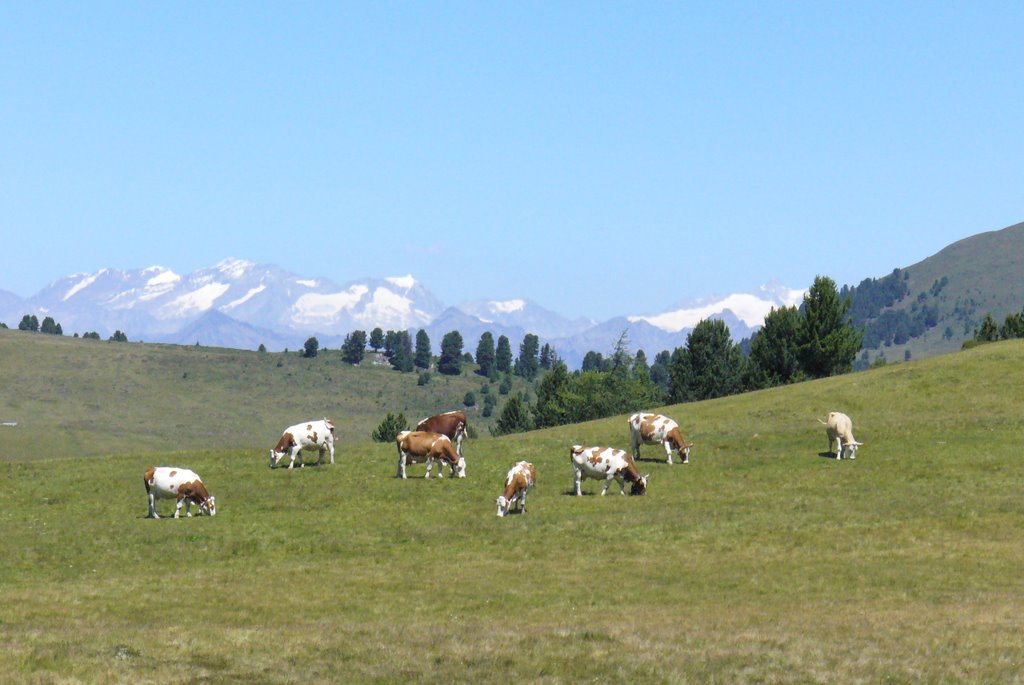 Passo delle Erbe by Gaiani Fabio