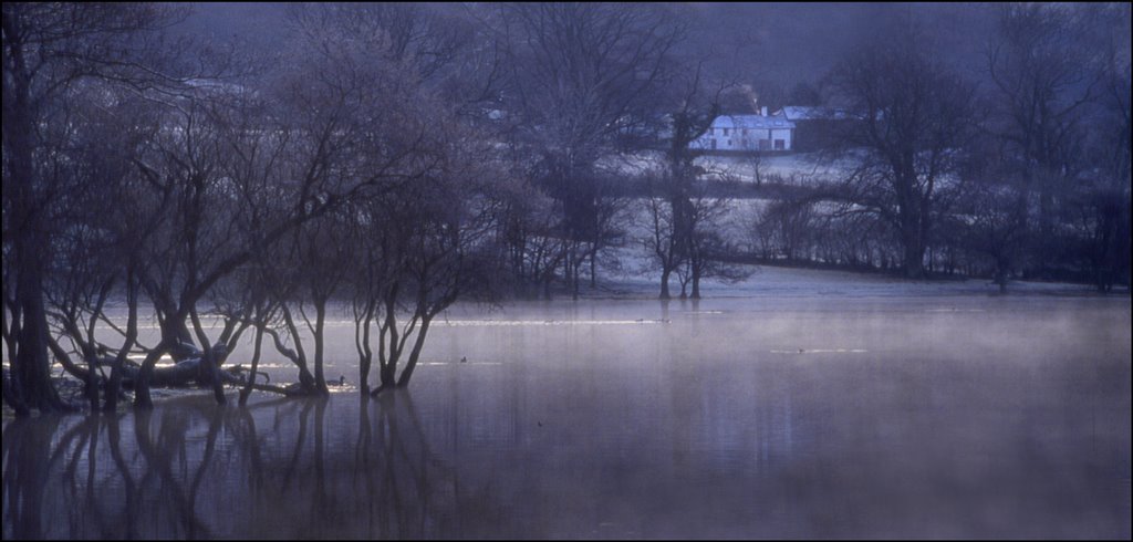 Coniston Early by Duncan Darbishire