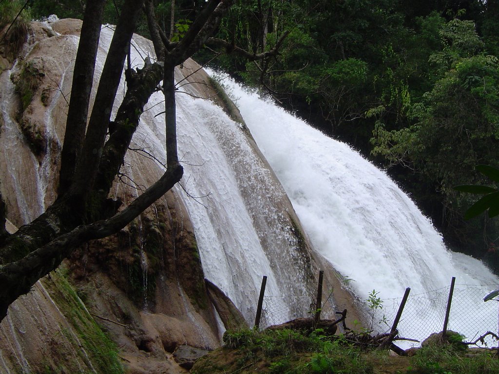 Imponente cascada by Alejandro Guzmán Rob…