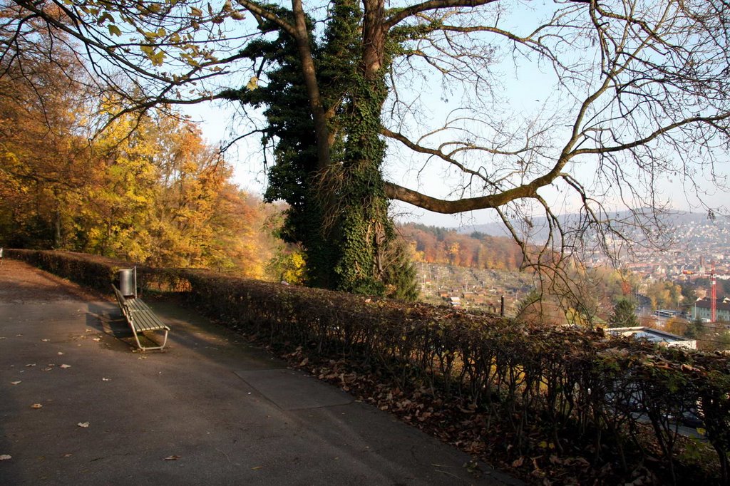 Aussichtspunkt bei Tierpark Waid by Samuel Fausch