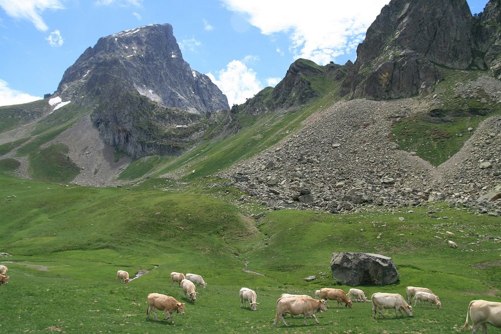 Vacas pastando ante el Midi d'Ossau by ET