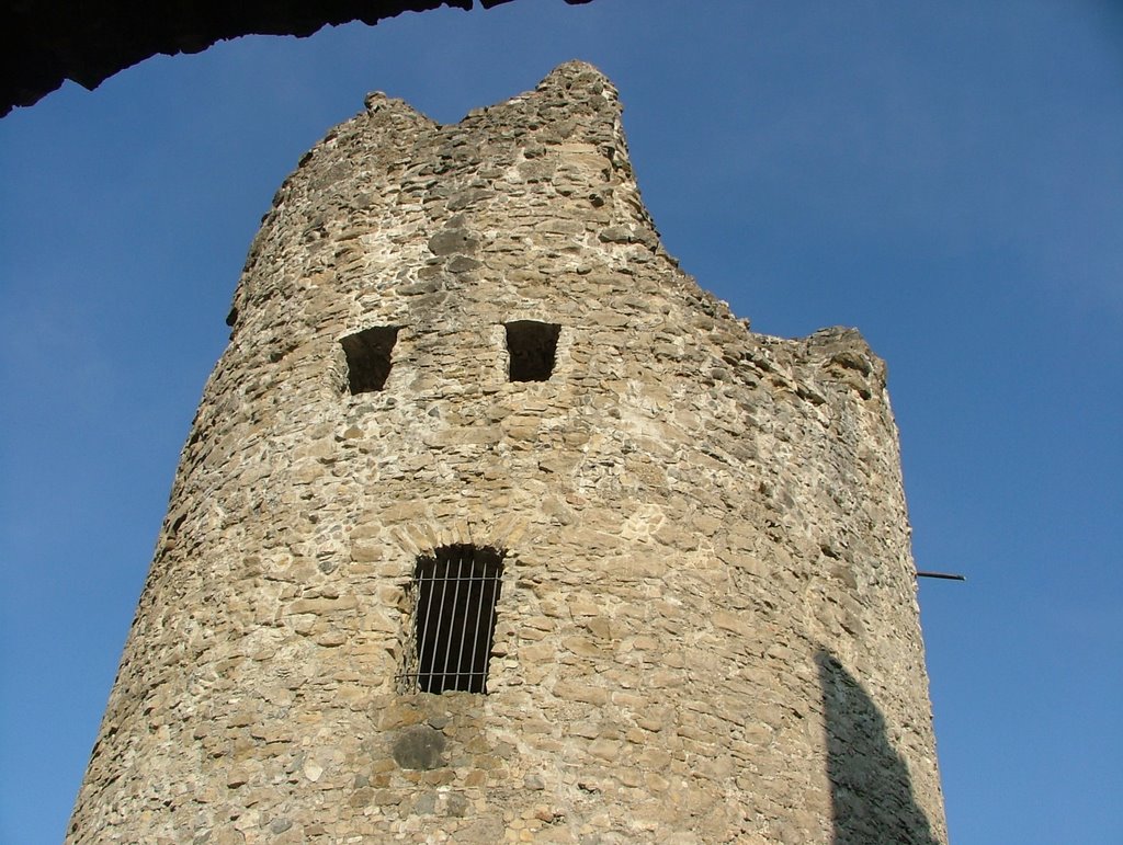 Ruine Stein bei Immenstadt by Mayer Richard