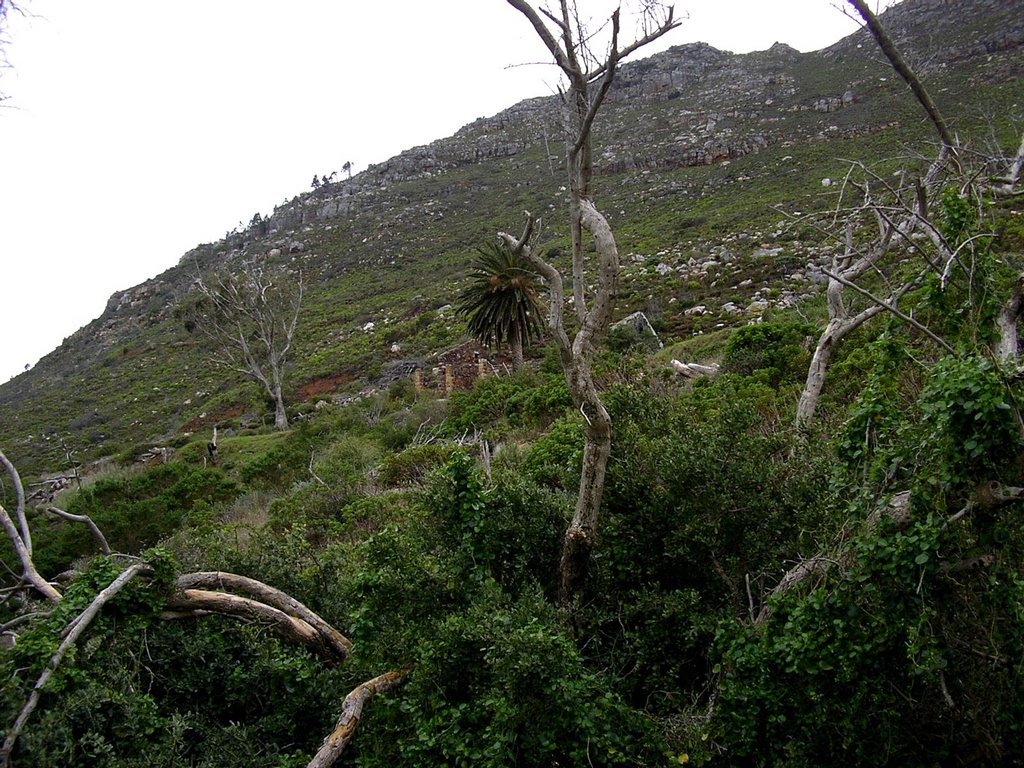 View from the entrance of the Battery Road towards the unknown ruins by Tillie Coetzee