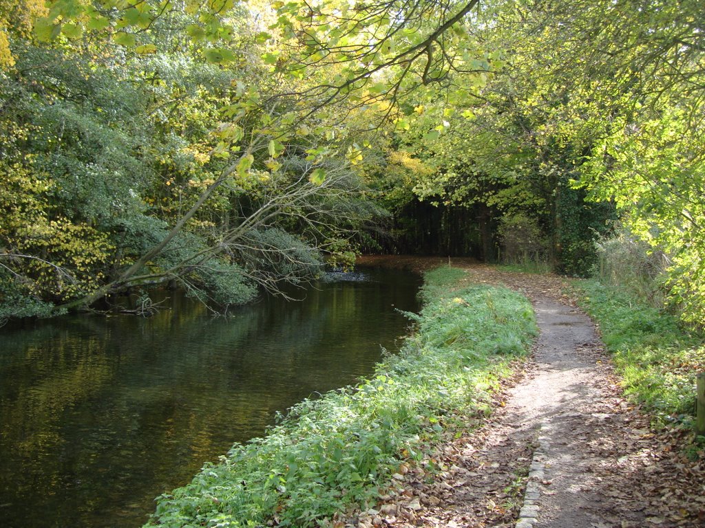 Wendover Arm Canal by bobby698