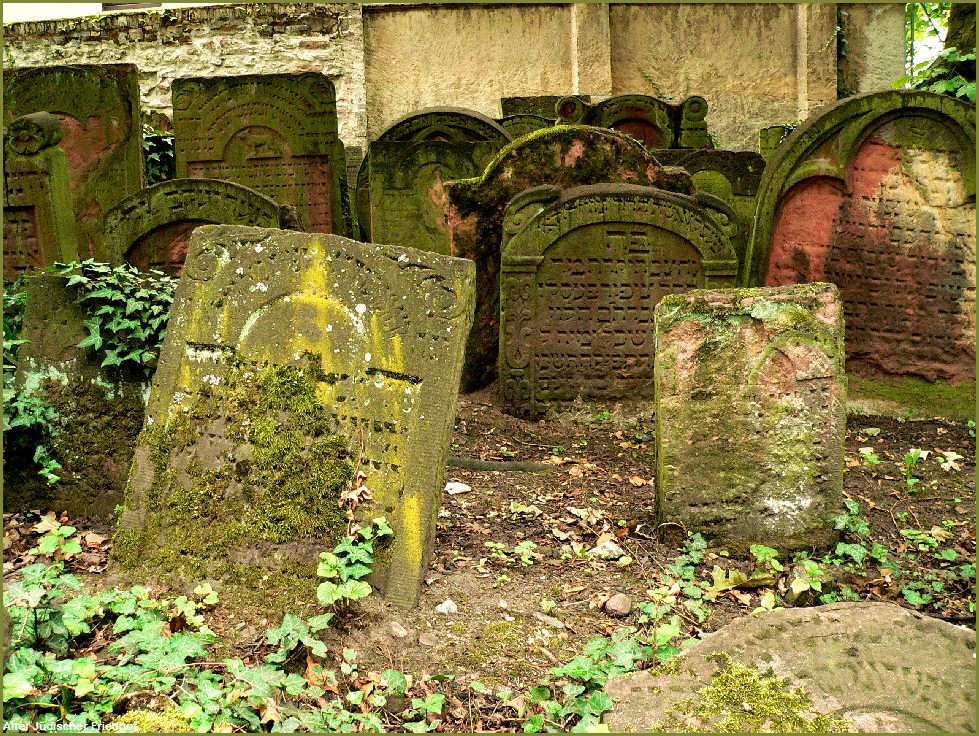 Alter Jüdischer Friedhof by ostendfaxpost