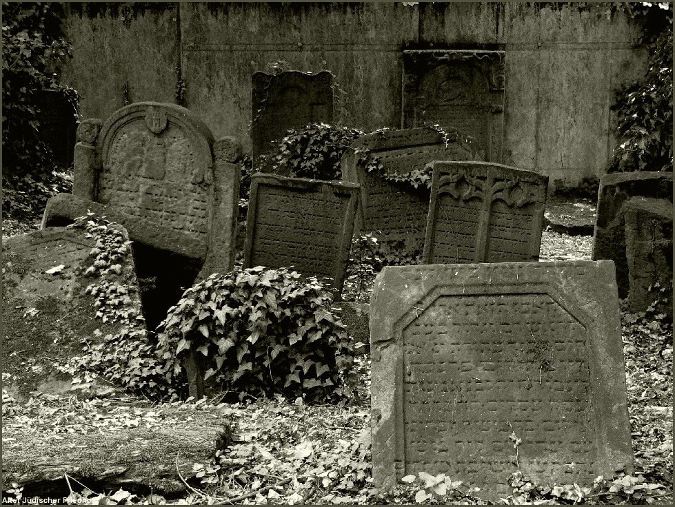 Alter Jüdischer Friedhof by ostendfaxpost