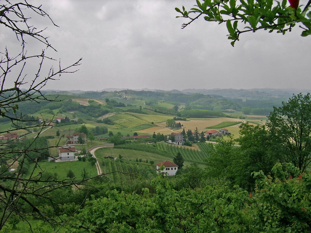 Colline astigiane by Andrea Allasio