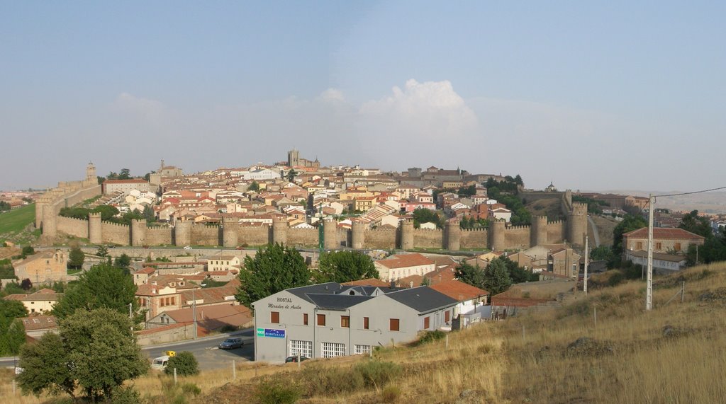 Avila - Panorama delle mura by Sersanna