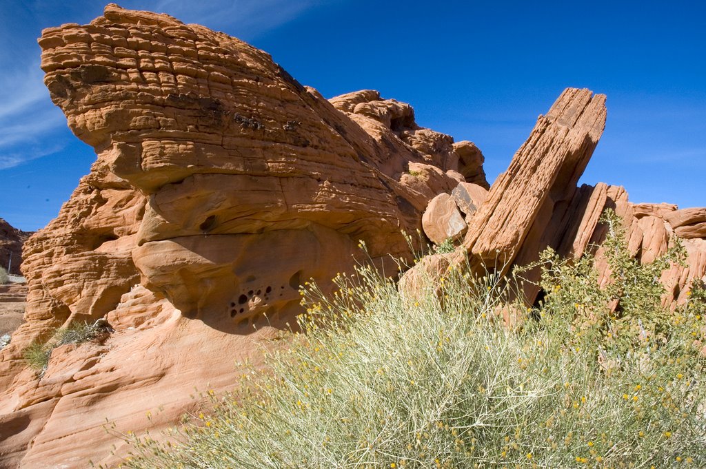 Valley of Fire State Park - Nevada by David Saunders