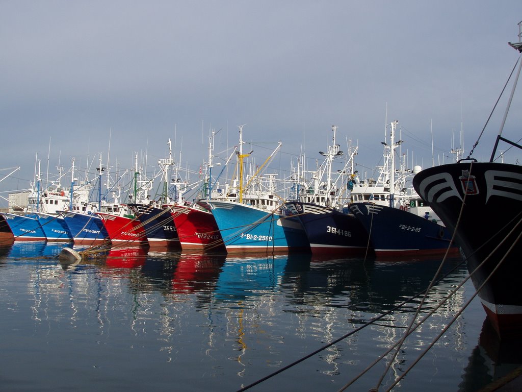 Pesqueros en Bermeo by ruelb