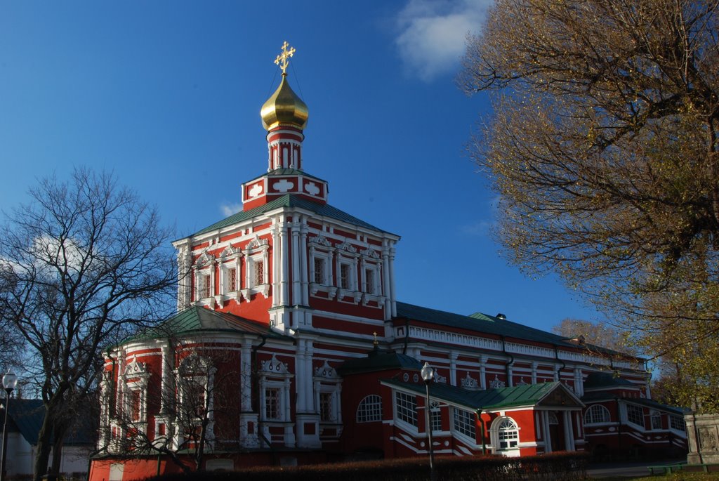 Novodevichy Monastery by L.m.