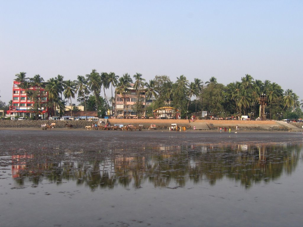 Alibaug shore by Mushir Killedar