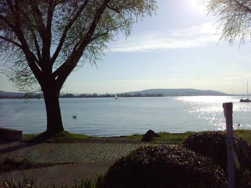 Blick auf die Insel Reichenau by olihoffi