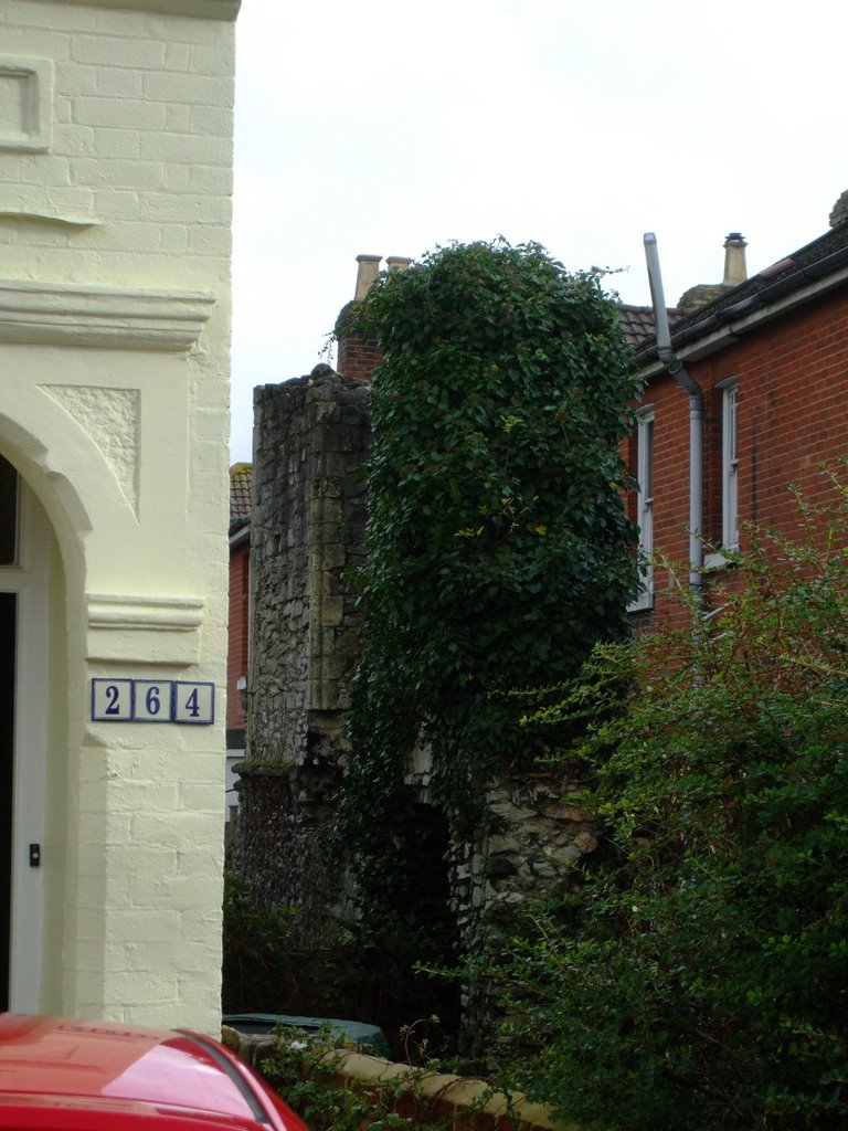 Priory of St. Denys, Southampton by robwoodward