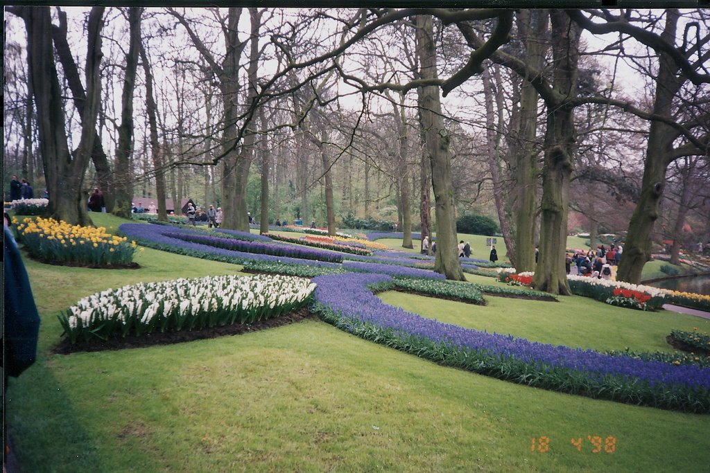 Holland Tulip Festival by G Drinnen