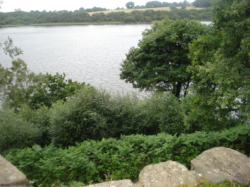 The reservoir from the castle by nikki1974