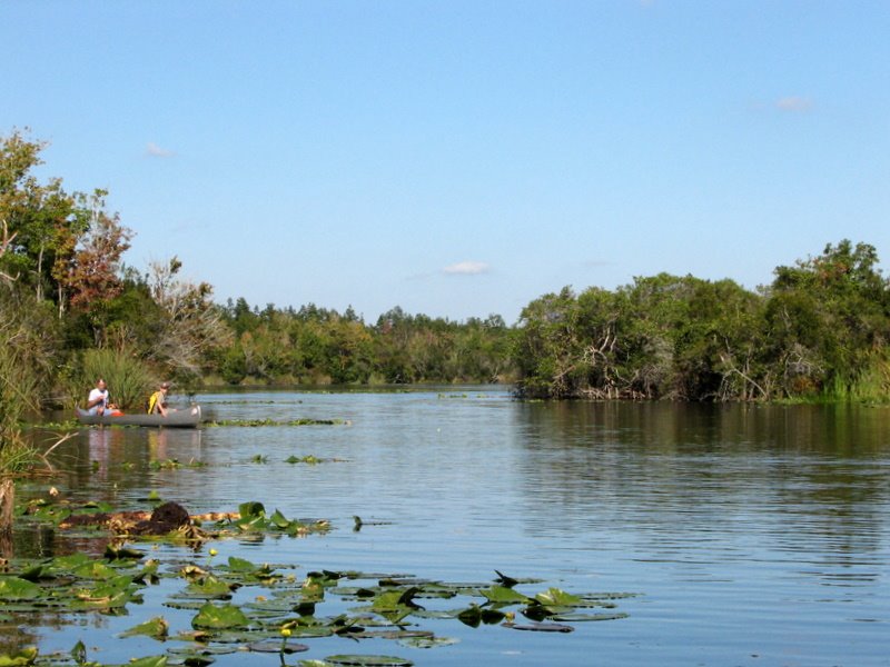 Starting our trip in the Dead River after launching from the ramp in the Lake Griffin State Park, Fruitland Park, FL by Jerry Lester