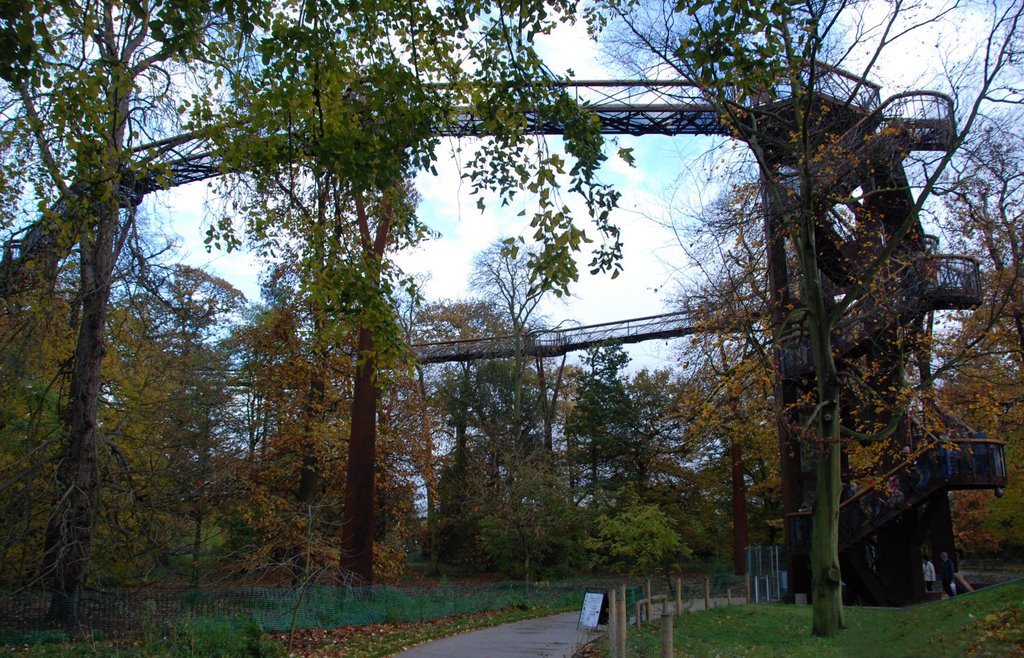 Kew: Tree Top Walkway by Ed Andrews