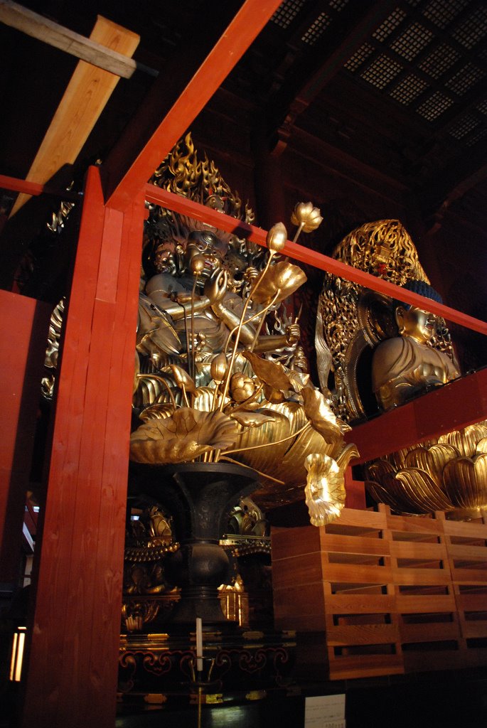 Buddhas im Rinni-ji Tempel by engerim