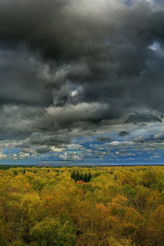 Троицк осенью by Anatoly Grechkin