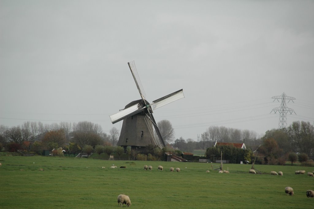 Poldermolen K vanaf Zuidervaart by René Speur