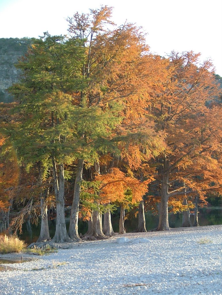 Garner State Park (Frio River) 3 by Quatrock