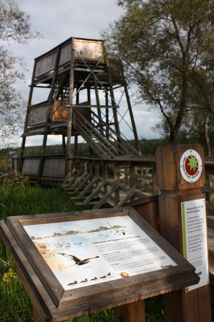 Bird-watching tower by rue_evergreen