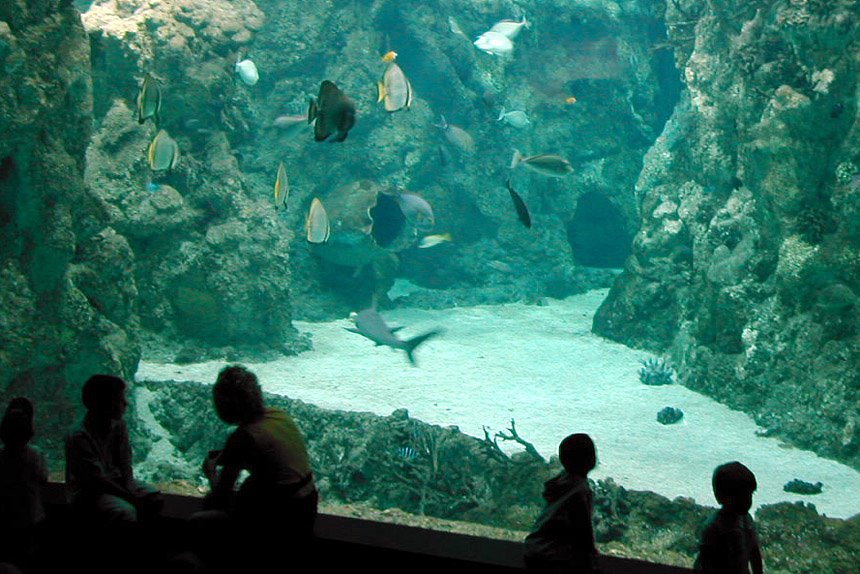 Inside aquarium Oceanopolis Brest !! by zepelin78