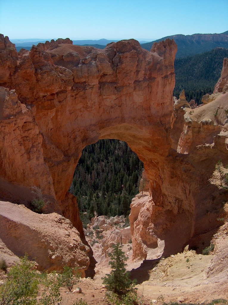 Bryce Canyon by Finn Mejsner