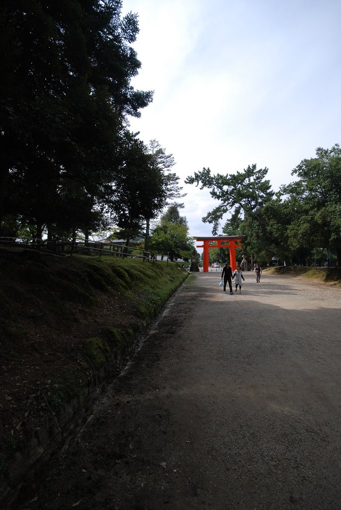 Nara Park by engerim