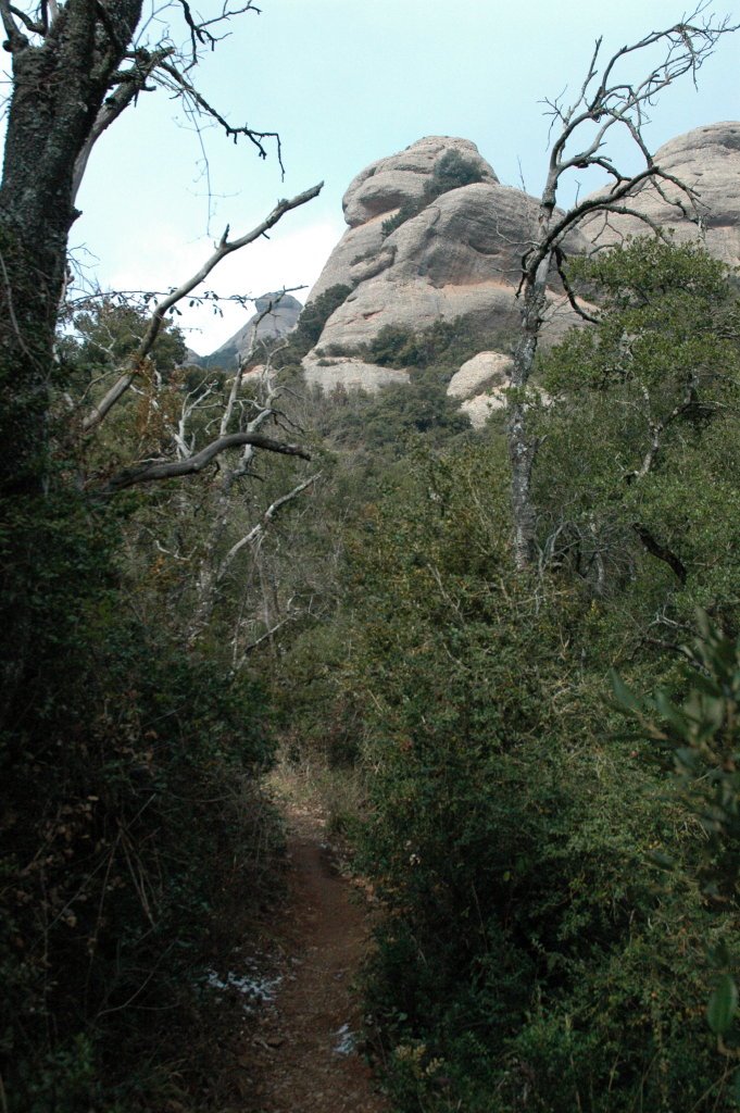 Monserrat by Iarla