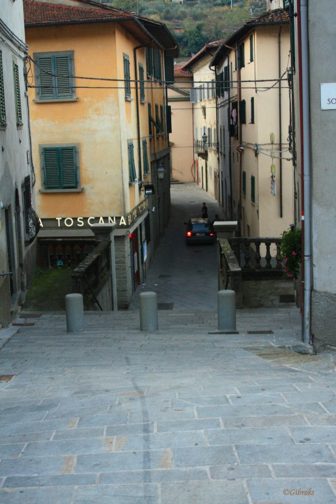 Castel san Niccolò (il borgo) by ©Gibroks